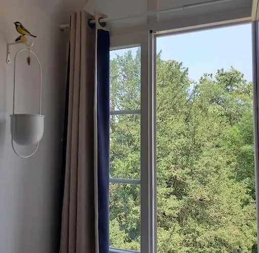 Les Vues De Lily - Dijon