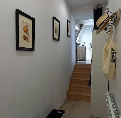 Les Vues De Lily - Apartment *