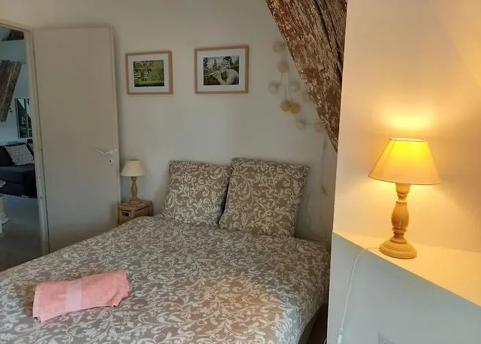 Les Vues De Lily - Apartment Dijon