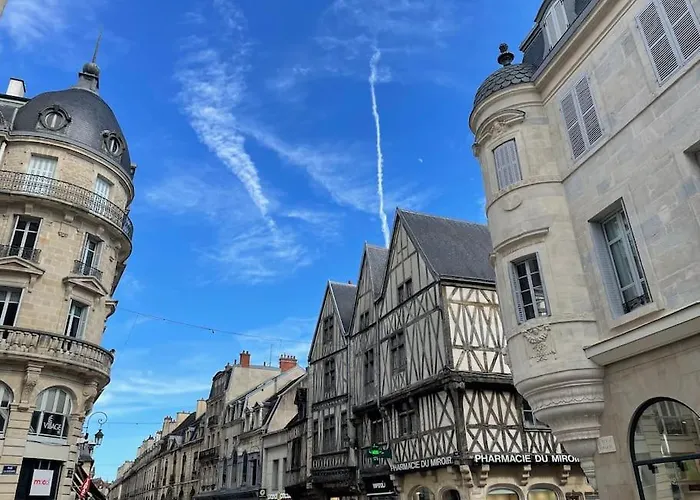 Apartment Les Vues De Lily - Dijon